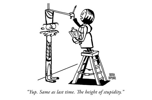 "Yup. Same as last time. The height of stupidity."
