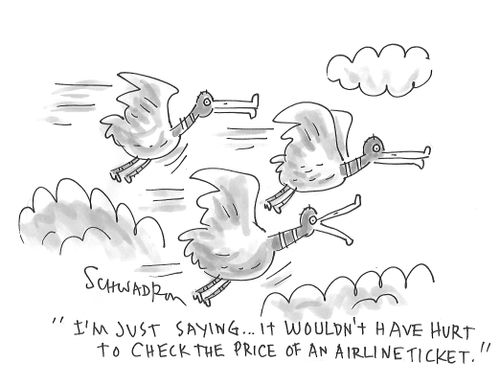 "I'm just saying. . . it wouldn't have hurt to check the price of an airline ticket."