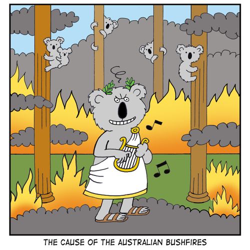 The Cause of the Australian Bushfires