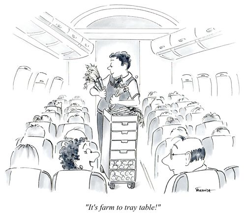 "It's farm to tray table!"