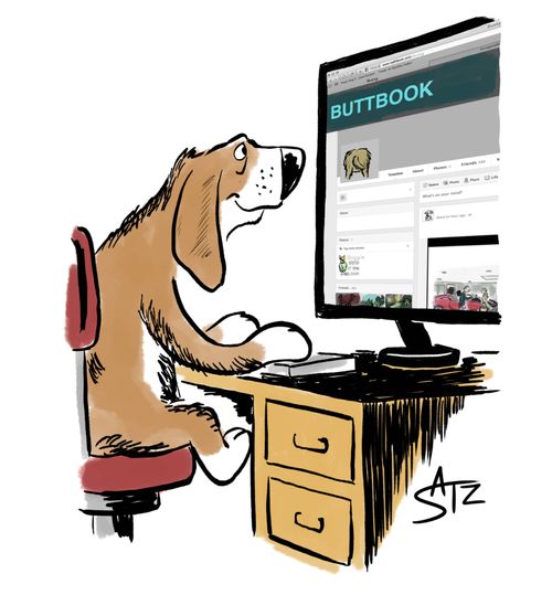 Buttbook