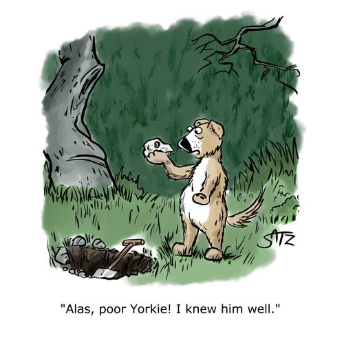 "Alas, poor Yorkie! I knew him well."
