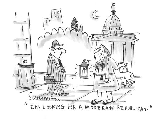 "I'm looking for a moderate Republican."
