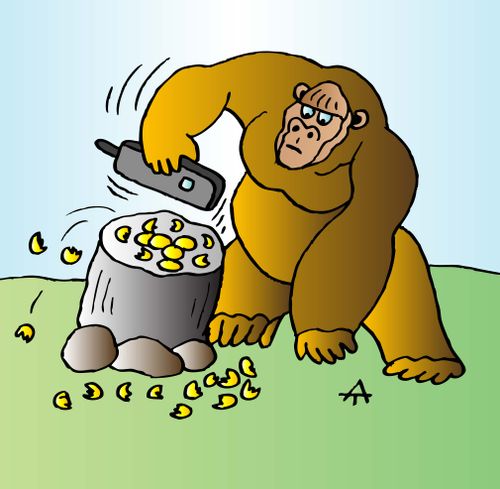 Monkey