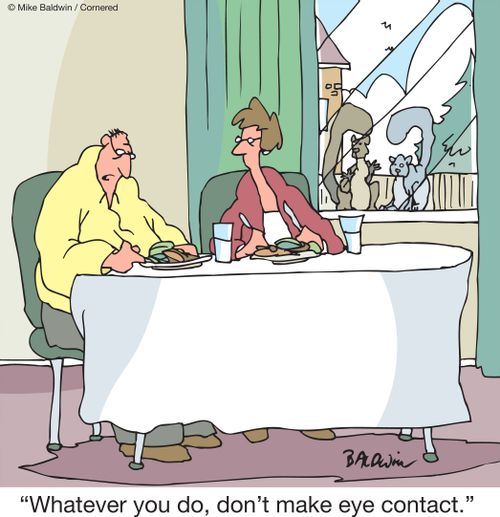 "Whatever you do, don't make eye contact."