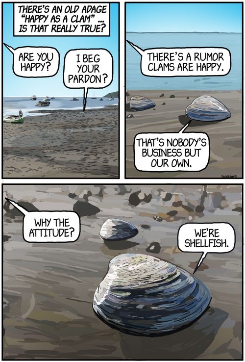 There's an old adage 'Happy as a clam'. . . . is that true?