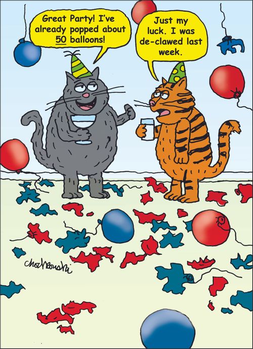 "Great Party! I've already popped about 50 balloons!"
