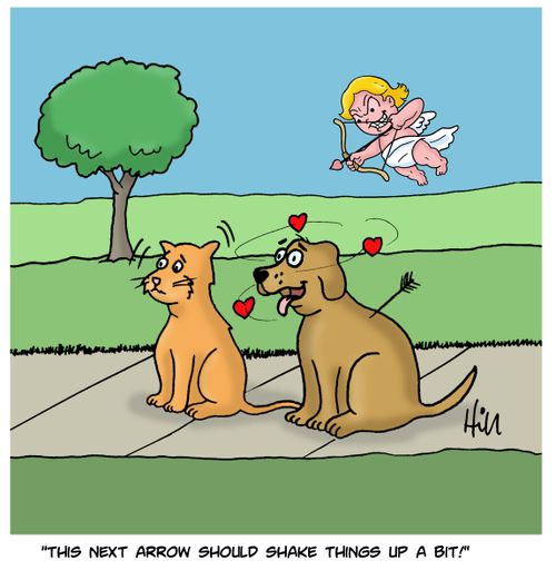 "This next arrow should shake things up a bit!"