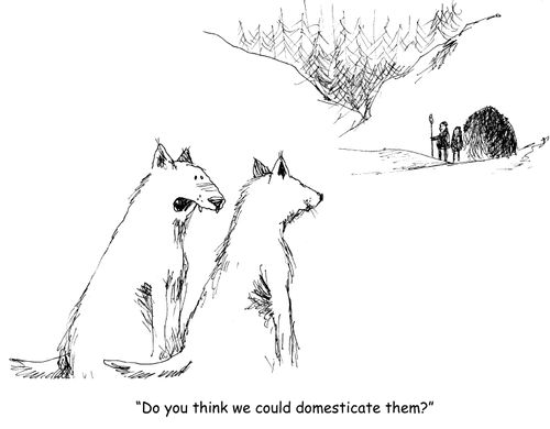 "Do you think we could domesticate them?"