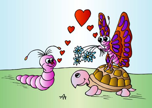 Butterfly and turtle