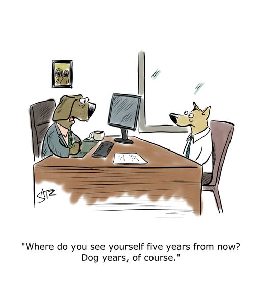 "Where do you see yourself five years from now? Dog years, of course."