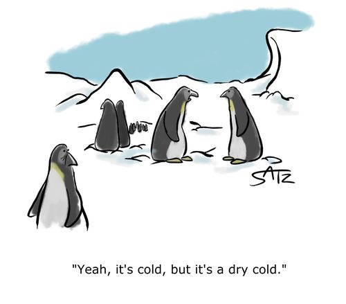 "Yeah, it's cold, but it's a dry cold."