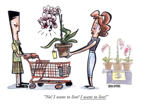 "No! I want to live! I want to live!"