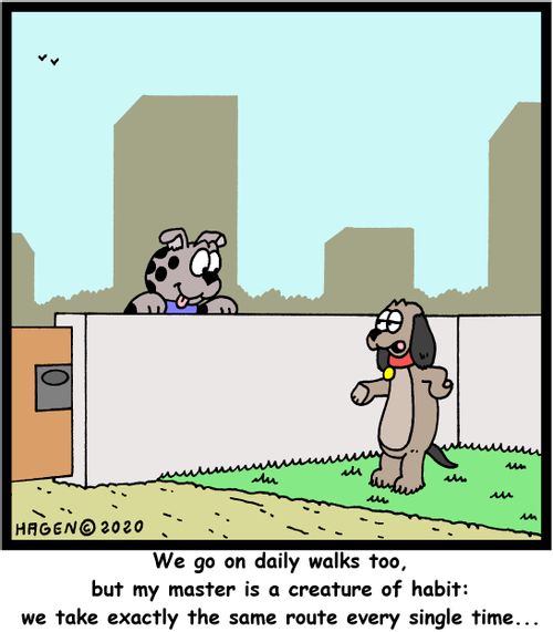 "We go on daily walks too, but my master is a creature of habit: we take exactly the same route every single time..."