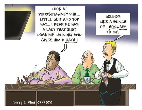 "Look at Punxsuntawney Phil. . . little suit and top hat. . ."
