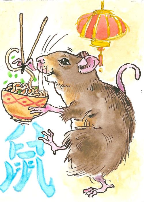 Year of the Rat