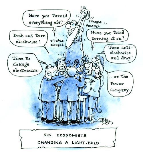Six Economists Changing A Light-Bulb
