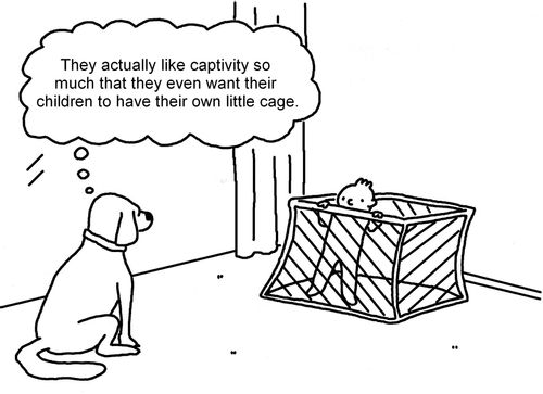 They actually like captivity so much that they even want their children to have their own little cage.