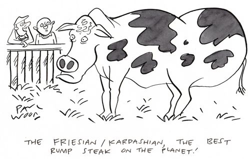 "The Friesian/Kardashian, the best rump steak on the planet!"