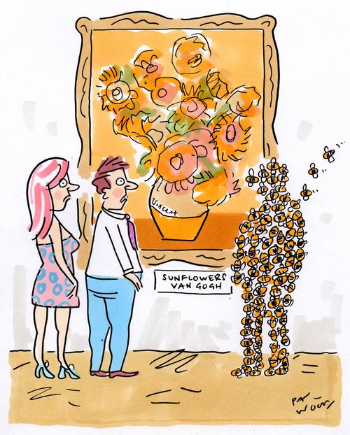 Bees visit the Sunflowers