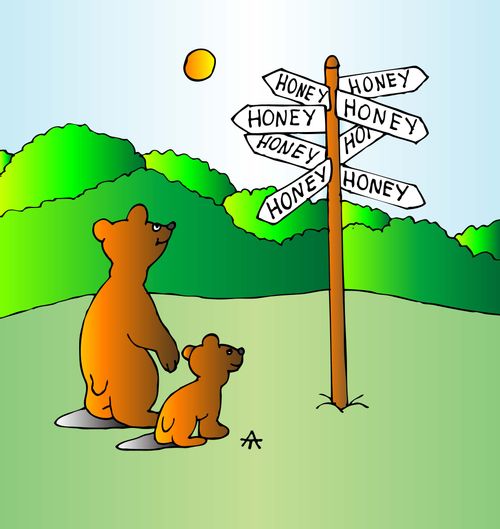 Honey Bears