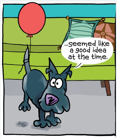 "...seemed like a good idea at the time."