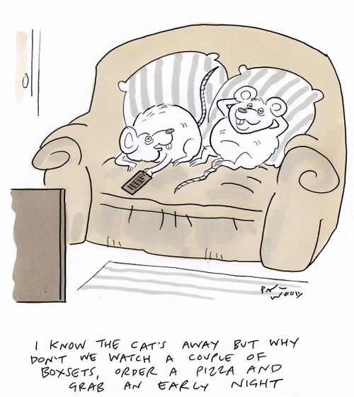 "I know the cat's away but why don't we watch a couple of boxsets, order a pizza and grab an early night."