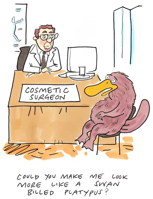 "Could you make me look more like a swan billed platypus?"