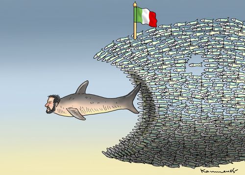 Sardines