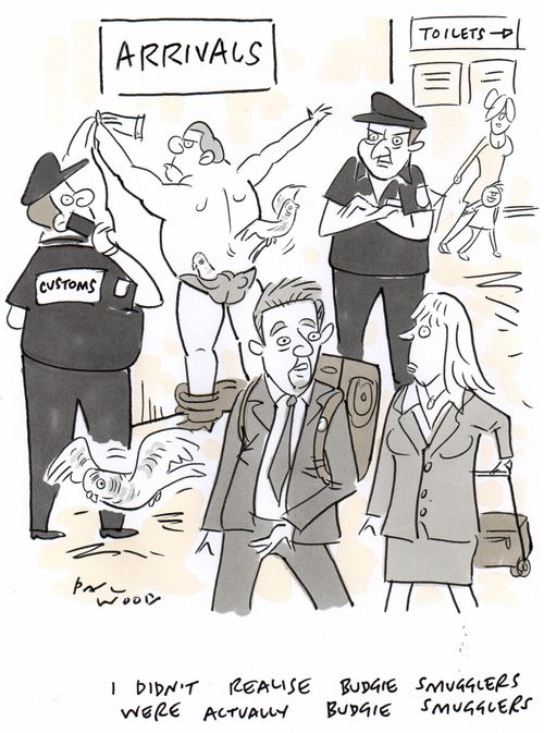 "I didn't realise budgie smugglers were actually budgie smugglers."