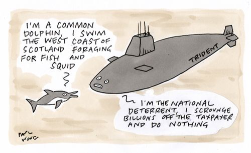 "I'm a common dolphin, I swim the west coast of Scotland foraging for fish and squid."