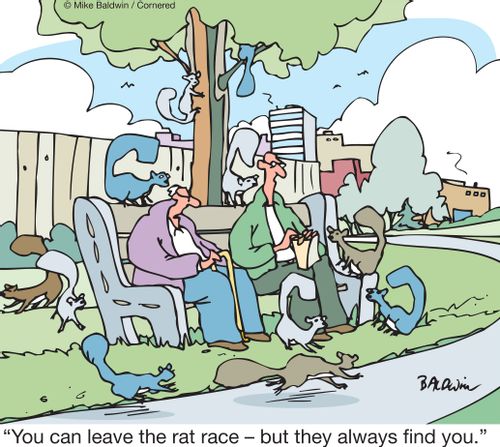 "You can leave the rat race – but they always find you."