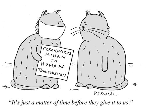 "It's just a matter of time before they give it to us."