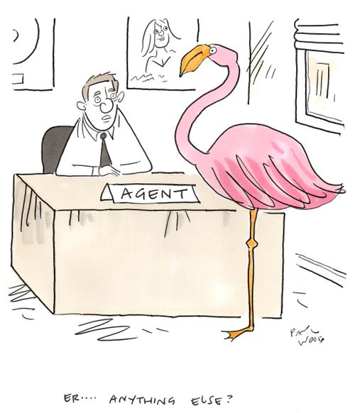 "Er. . . anything else?"