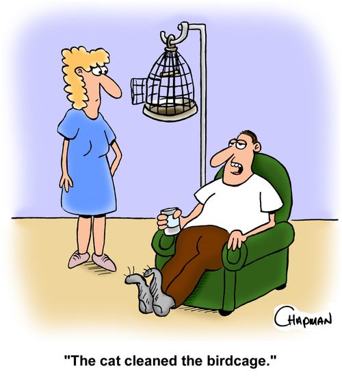 "The cat cleaned the birdcage."
