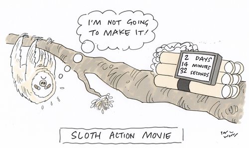 Sloth Action Movie