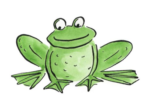 Frog