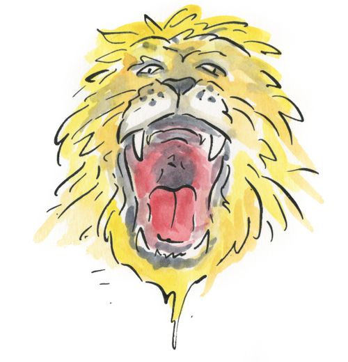 Lion roaring