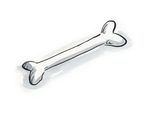 Bone