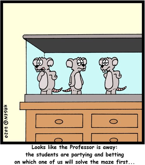 "Looks like the Professor is away: the students are partying and betting on which one of us will solve the maze first..."