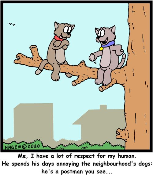 "Me, I have a lot of respect for my human. He spends his days annoying the neighbourhood's dogs: he's a postman you see..."