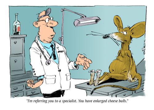 "I'm referring you to a specialist. You have enlarged cheese balls."