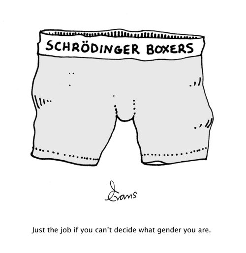 Just the job if you can't decide what gender you are.