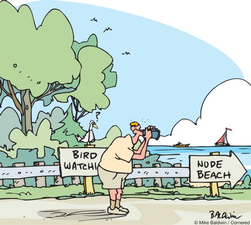 Bird Watching. . . Nude Beach