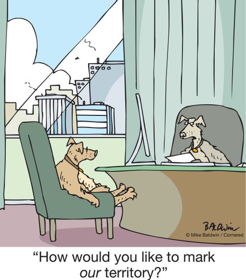 "How would you like to mark our territory?"