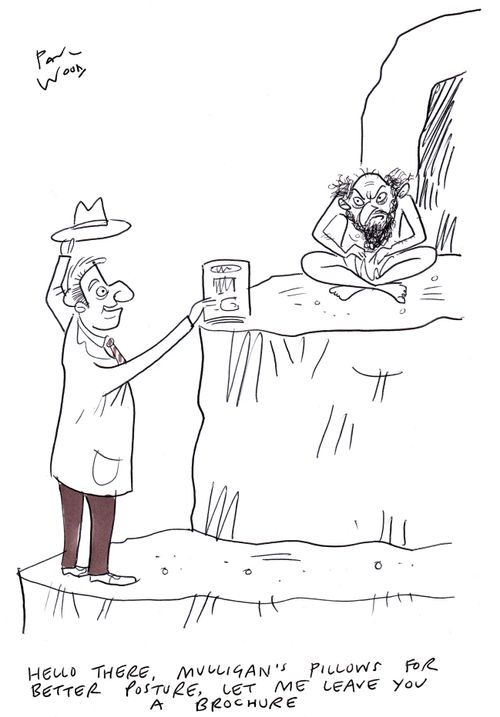 "Hello there, Mulligan's pillows for better posture, let me leave you a brochure."
