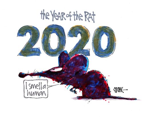 2020 Year of the Rat