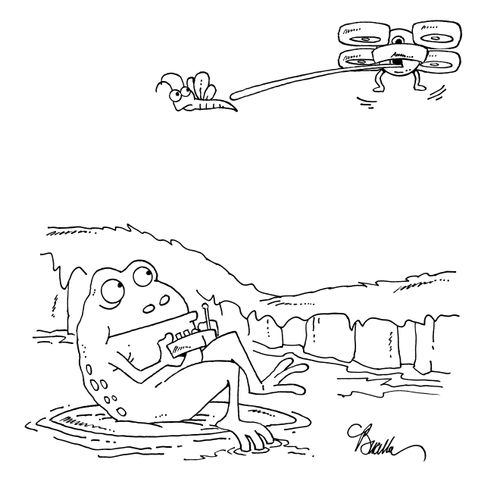 Frog use drone to catch insect