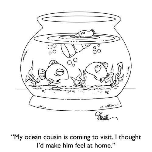 "My ocean cousin is coming to visit. I thought I'd make him feel at home."