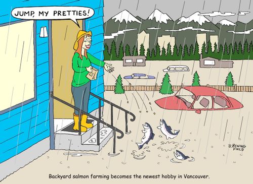 Backyard salmon farming becomes the newest hobby in Vancouver.